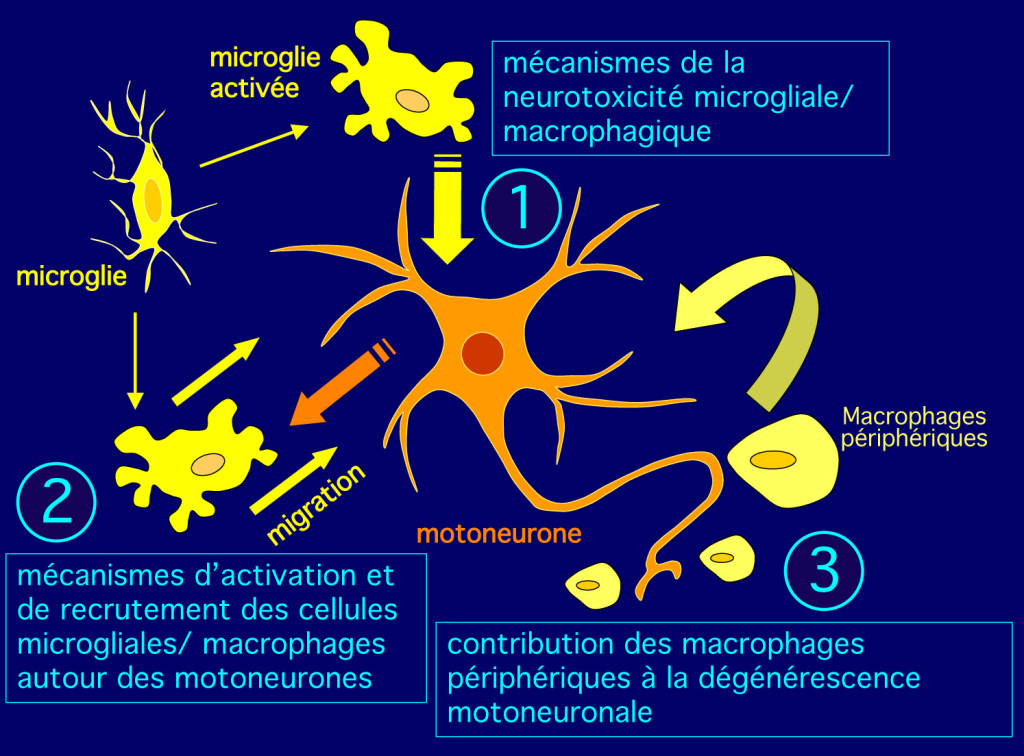 Projet-Boilée-image-FR